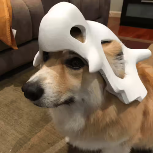 skull-mask-cubone-dog-3