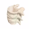 lapicero-columna-2
